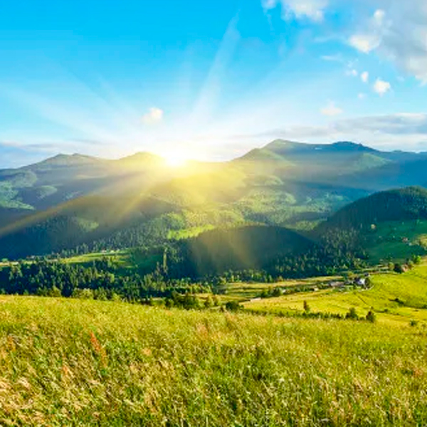Produto 2 - Lorem ipsum dolor sit amet, co